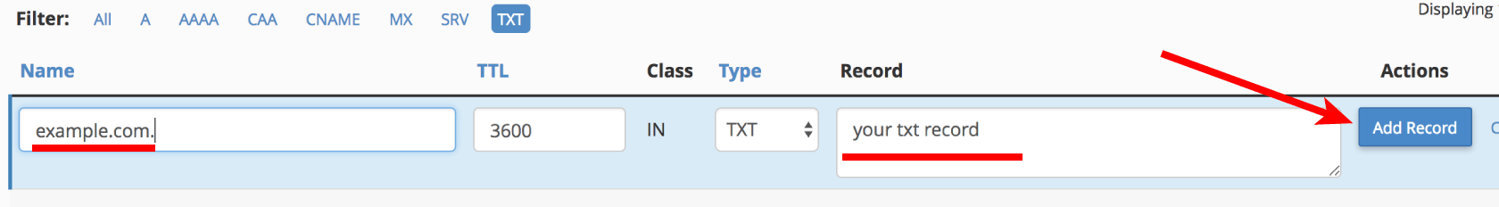 Enter new TXT record details